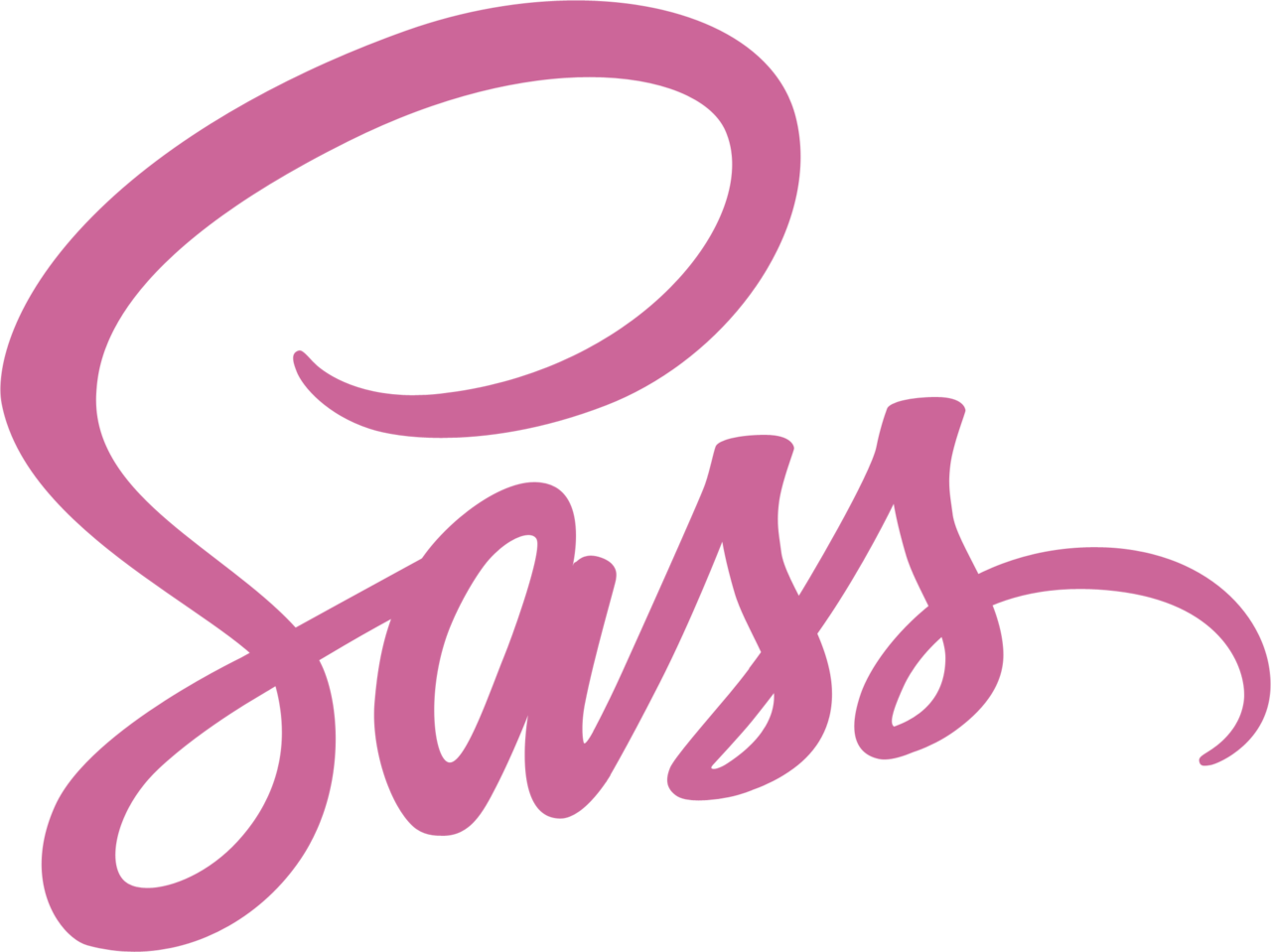 CSS